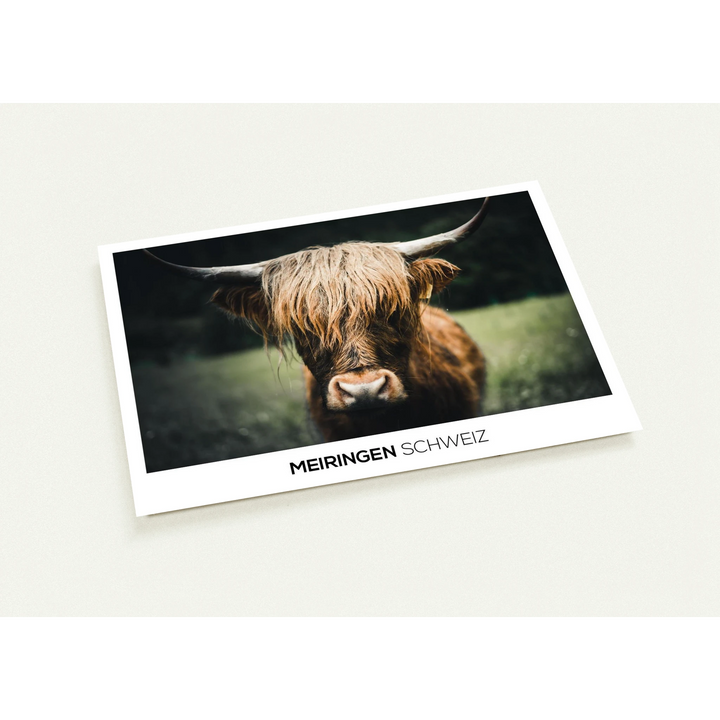 0494b300-b306-4b83-a068-e8620f629f88