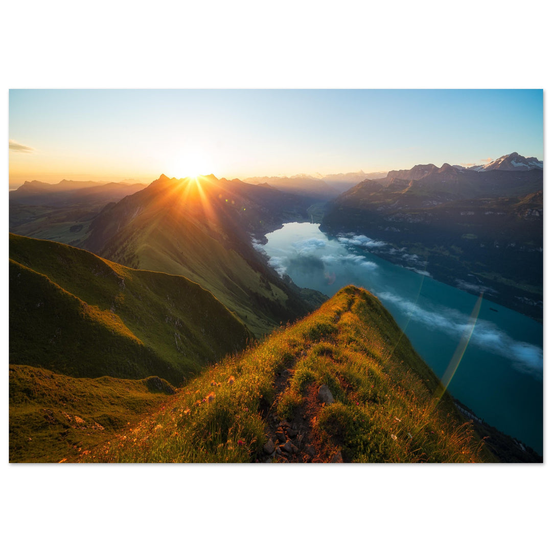 10b7657d-a6f8-4ade-b41f-319c3fd6682d