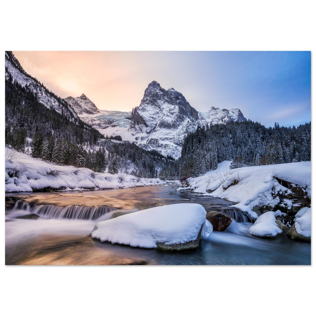 16c51aea-7665-4811-8e2f-c1b5e3a84503