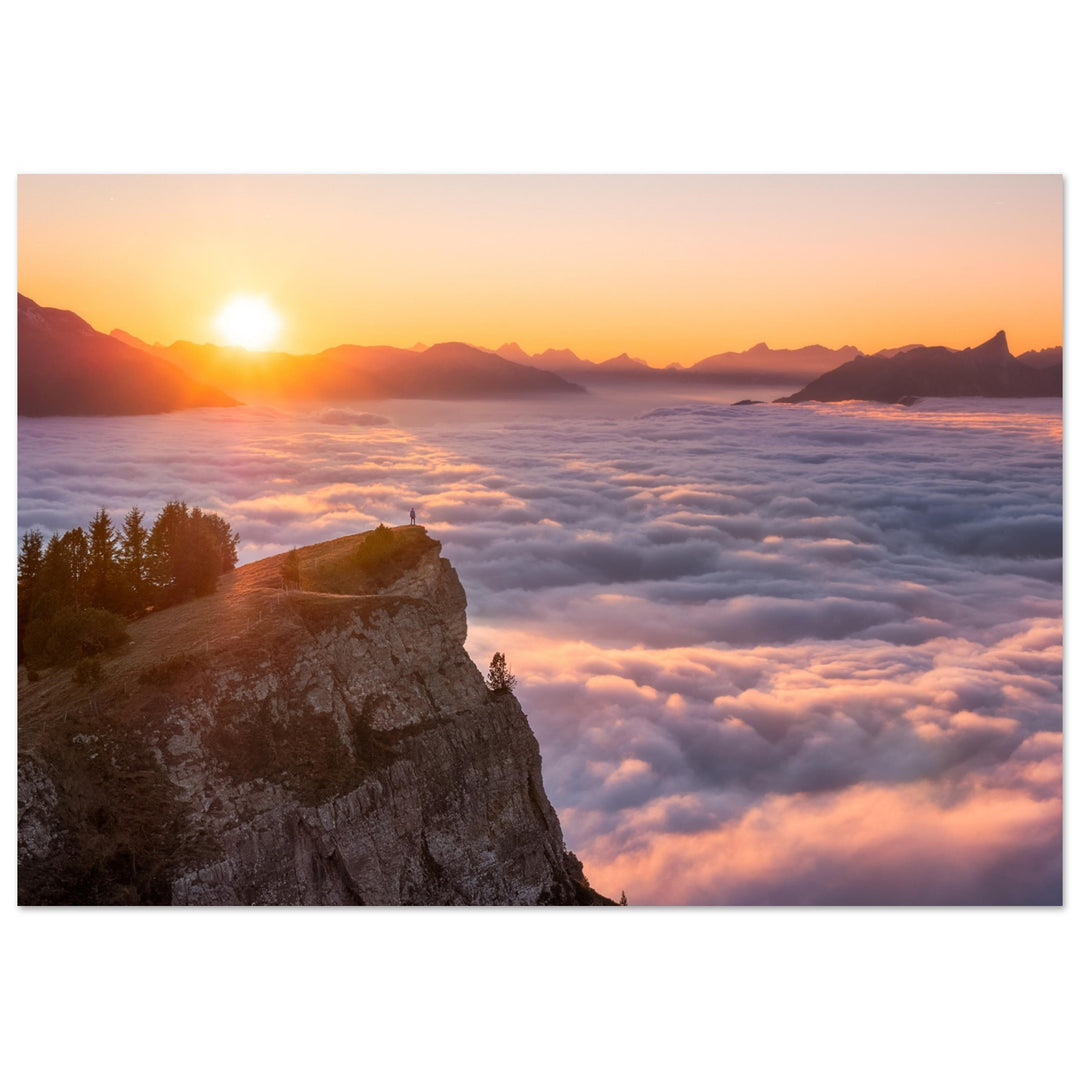 c94b6706-0963-41b3-a0ff-7003dc4144fb