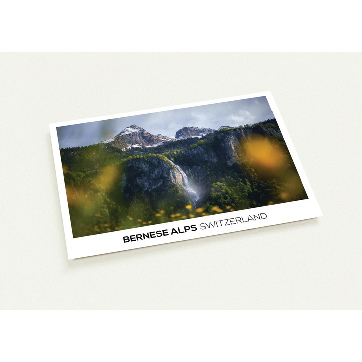 cc88375c-f004-4217-a339-f79305cf9d39